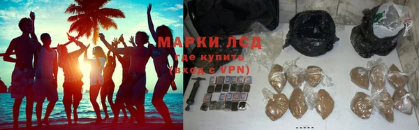 спайс Алзамай